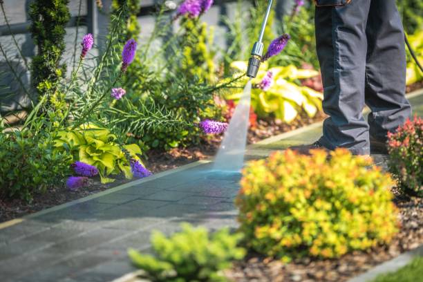 Best Sidewalk and Walkway Cleaning  in Glandorf, OH